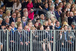 Trooping the Colour 2013 (spectators). Image #1028, 15 June 2013 10:29