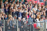 Trooping the Colour 2013 (spectators). Image #1029, 15 June 2013 10:29