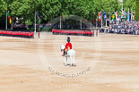 Trooping the Colour 2013: The Adjutant of the Parade, Captain C J P Davies, Welsh Guards, at the centre of Horse Guards Parade, with all six guards in place. Image #129, 15 June 2013 10:35 Horse Guards Parade, London, UK