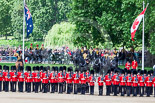 Trooping the Colour 2013: The King's Troop Royal Horse Artillery takes position between No. 1 Guard and St. James's Park. Image #152, 15 June 2013 10:39 Horse Guards Parade, London, UK