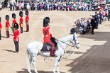 Trooping the Colour 2013: The Adjutant of the Parade, Captain C J P Davies, Welsh Guards, salutes to the Field Officer before proceeding to the eastern end of the line of 18 officers. Image #154, 15 June 2013 10:40 Horse Guards Parade, London, UK