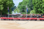 Trooping the Colour 2013: The King's Troop Royal Horse Artillery takes position between No. 1 Guard and St. James's Park. Image #155, 15 June 2013 10:40 Horse Guards Parade, London, UK