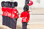 Trooping the Colour 2013: No. 3 Guard, 1st Battalion Welsh Guards, at the gap in the line for members of the Royal Family. Image #174, 15 June 2013 10:44 Horse Guards Parade, London, UK