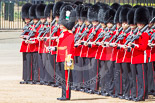 Trooping the Colour 2013: No. 3 Guard, 1st Battalion Welsh Guards, at the gap in the line for members of the Royal Family. Image #175, 15 June 2013 10:44 Horse Guards Parade, London, UK