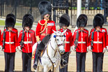 Trooping the Colour 2013: The Field Officer in Brigade Waiting, Lieutenant Colonel Dino Bossi, Welsh Guards, commanding. Image #232, 15 June 2013 10:56 Horse Guards Parade, London, UK