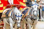 Trooping the Colour 2013: The two Windsor Grey horses pulling the Glass Coach that carries HM The Queen. Image #276, 15 June 2013 10:59 Horse Guards Parade, London, UK