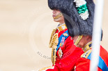 Trooping the Colour 2013: HRH The Duke of Cambridge, Colonel Irish Guards, and his father, HRH The Prince of Wales, Colonel Welsh Guards. Image #292, 15 June 2013 10:59 Horse Guards Parade, London, UK