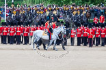 Trooping the Colour 2013: The Royal Colonels during the Inspection of the Line - HRH The Duke of Cambridge, Colonel Irish Guards, HRH The Prince of Wales, Colonel Welsh Guards, and HRH The Princess Royal, Colonel The Blues and Royals (Royal Horse Guards and 1st Dragoons). Image #333, 15 June 2013 11:03 Horse Guards Parade, London, UK