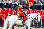 Trooping the Colour 2013: The Crown Equerry Colonel Toby Browne
Equerry in Waiting to Her Majesty, Lieutenant Colonel Alexander Matheson of Matheson, younger, saluting the Colour during the Inspection of the Line. Image #337, 15 June 2013 11:04 Horse Guards Parade, London, UK