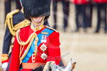 Trooping the Colour 2013: Close-up of HRH The Duke of Cambridge, Colonel Irish Guards, on horseback after the Inspection of the Line. Image #375, 15 June 2013 11:07 Horse Guards Parade, London, UK