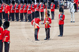 Trooping the Colour 2013: The Colour has been handed over from Colour Sergeant R J Heath, Welsh Guard to the Regimental Sergeant Major, WO1 Martin Topps, Welsh Guards. He now presents the Colour to the Ensign, Ensign, Second Lieutenant Joel Dinwiddle, who salutes the Colour with his sword. Image #452, 15 June 2013 11:20 Horse Guards Parade, London, UK