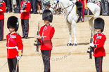 Trooping the Colour 2013: The Regimental Sergeant Major, WO1 Martin Topps, Welsh Guards, one of the two (unnamed) sentries, and the Colour Sergeant, R J Heath, Welsh Guards, presenting arms. Image #465, 15 June 2013 11:21 Horse Guards Parade, London, UK