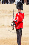 Trooping the Colour 2013: The second (unnamed) sentry, presenting arms whilst the National Anthem is played. Image #467, 15 June 2013 11:21 Horse Guards Parade, London, UK