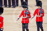 Trooping the Colour 2013: The Colour Party joins the Escort to the Colour, here the two sentries. Image #472, 15 June 2013 11:22 Horse Guards Parade, London, UK