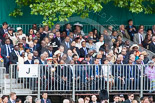 Trooping the Colour 2013 (spectators). Image #1046, 15 June 2013 11:23