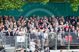 Trooping the Colour 2013 (spectators). Image #1052, 15 June 2013 11:23