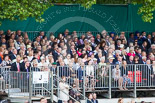 Trooping the Colour 2013 (spectators). Image #1053, 15 June 2013 11:23