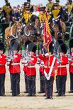 Trooping the Colour 2013: The Ensign, Second Lieutenant Joel Dinwiddle, and the Escort to the Colour,are back at their initial position, when they were the Escort for the Colour. The guardsmen are changing arms. Image #507, 15 June 2013 11:28 Horse Guards Parade, London, UK
