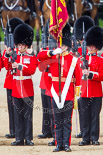 Trooping the Colour 2013: The Ensign, Second Lieutenant Joel Dinwiddle, and the Escort to the Colour,are back at their initial position, when they were the Escort for the Colour. The guardsmen are changing arms. Image #508, 15 June 2013 11:28 Horse Guards Parade, London, UK