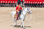 Trooping the Colour 2013: The Field Officer in Brigade Waiting, Lieutenant Colonel Dino Bossi, Welsh Guards, has left the front of the March Past to salute to Her Majesty. Image #562, 15 June 2013 11:39 Horse Guards Parade, London, UK