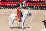 Trooping the Colour 2013: The Field Officer in Brigade Waiting, Lieutenant Colonel Dino Bossi, Welsh Guards, saluting Her Majesty. Image #563, 15 June 2013 11:39 Horse Guards Parade, London, UK