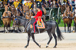 Trooping the Colour 2013: The Major of the Parade, Major H G C Bettinson, Welsh Guards, leading the guards during the March Past in Quick Time. Image #626, 15 June 2013 11:49 Horse Guards Parade, London, UK