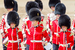 Trooping the Colour 2013: Musicians of the band of the Grenadier Guards and of the Corps of Drums. Image #640, 15 June 2013 11:51 Horse Guards Parade, London, UK
