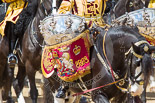 Trooping the Colour 2013: The kettle drummr from The Life Guards - a closer look ar all the detail. Image #658, 15 June 2013 11:53 Horse Guards Parade, London, UK