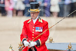 Trooping the Colour 2013: The Head Coachman, Mark Hargreaves, in charge of the glass coach. Image #798, 15 June 2013 12:08 Horse Guards Parade, London, UK