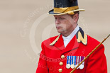 Trooping the Colour 2013: Close-up of Head Coachman Mark Hargreaves during the March Off. Image #810, 15 June 2013 12:10 Horse Guards Parade, London, UK