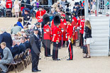 Trooping the Colour 2013 (spectators). Image #1076, 15 June 2013 12:16