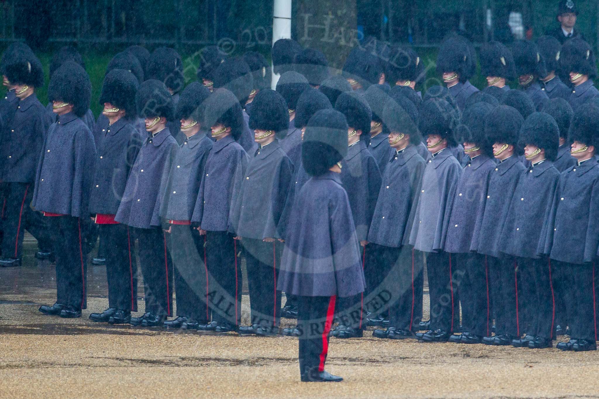 The Colonel's Review 2014.
Horse Guards Parade, Westminster,
London,

United Kingdom,
on 07 June 2014 at 10:16, image #81