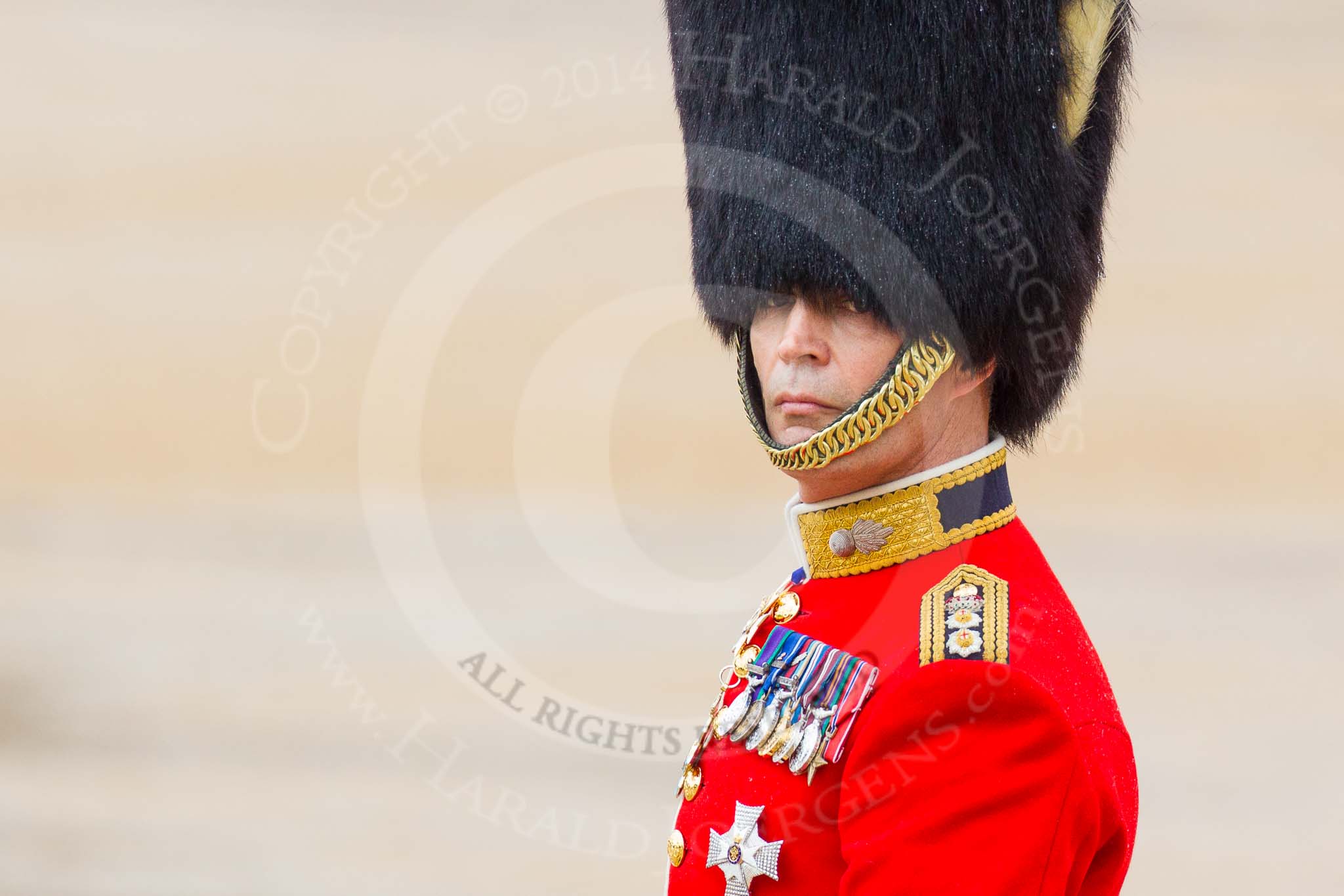 The Colonel's Review 2014.
Horse Guards Parade, Westminster,
London,

United Kingdom,
on 07 June 2014 at 11:00, image #271