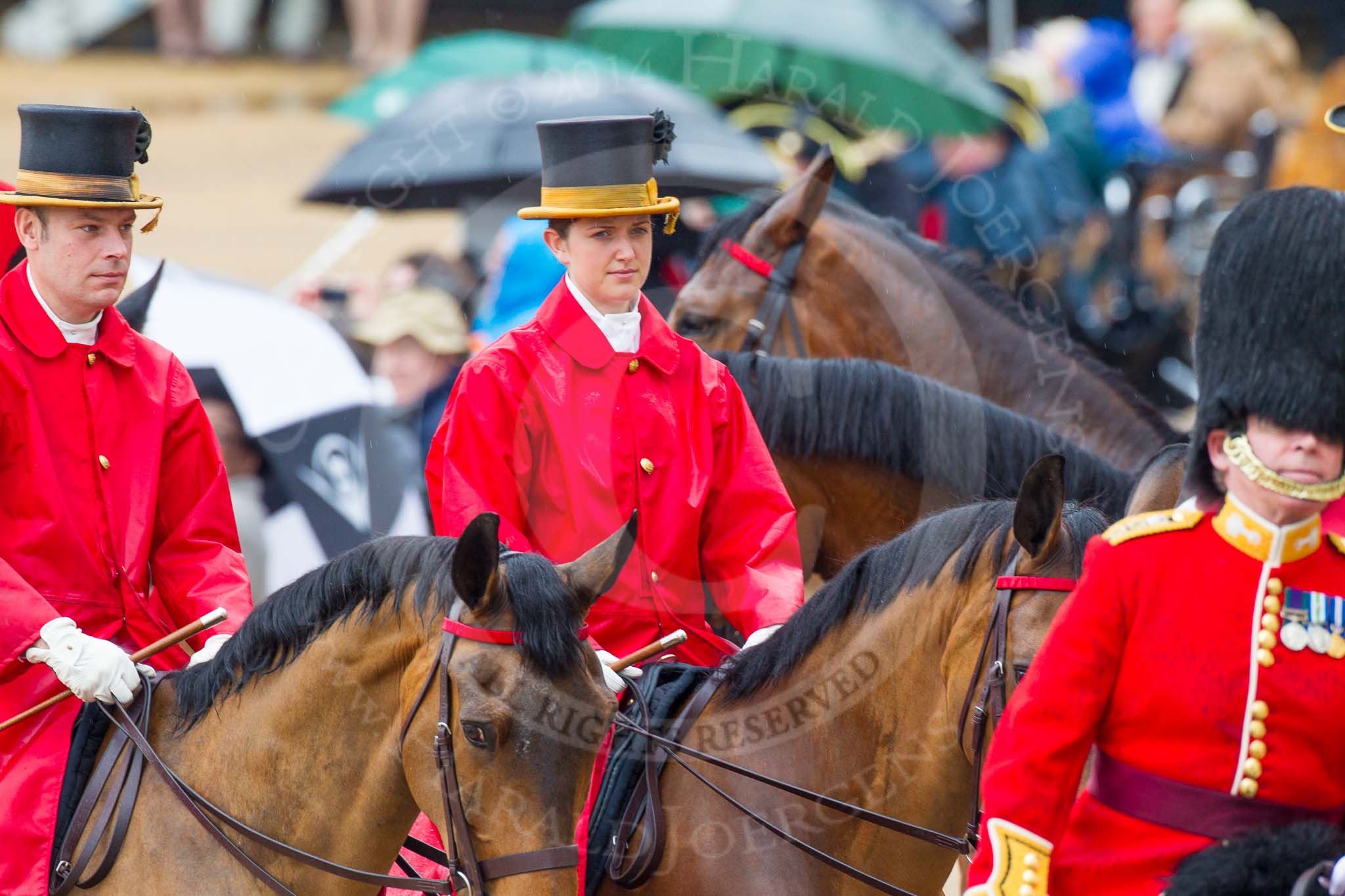 The Colonel's Review 2014.
Horse Guards Parade, Westminster,
London,

United Kingdom,
on 07 June 2014 at 11:01, image #281