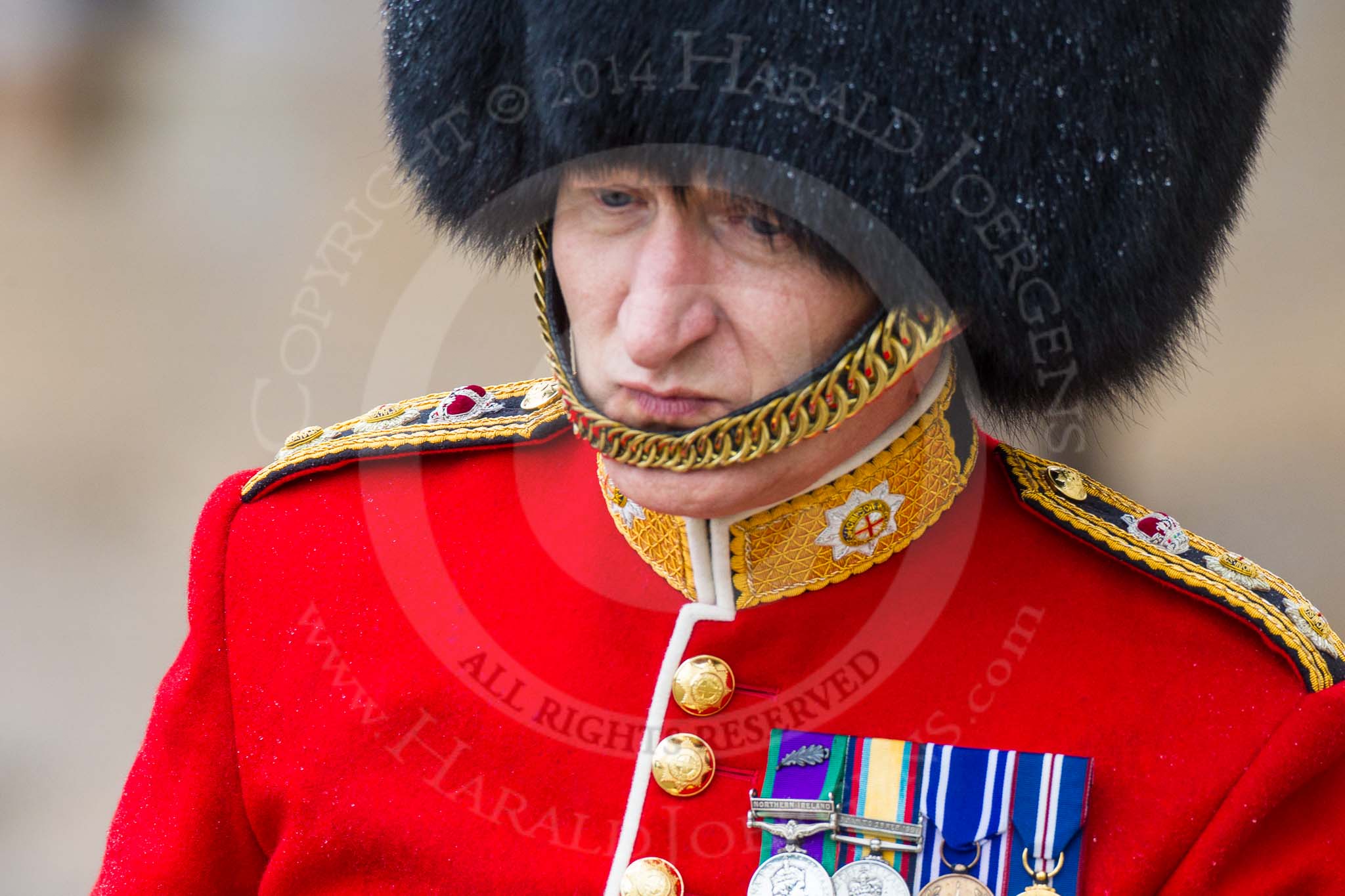 The Colonel's Review 2014.
Horse Guards Parade, Westminster,
London,

United Kingdom,
on 07 June 2014 at 11:01, image #283