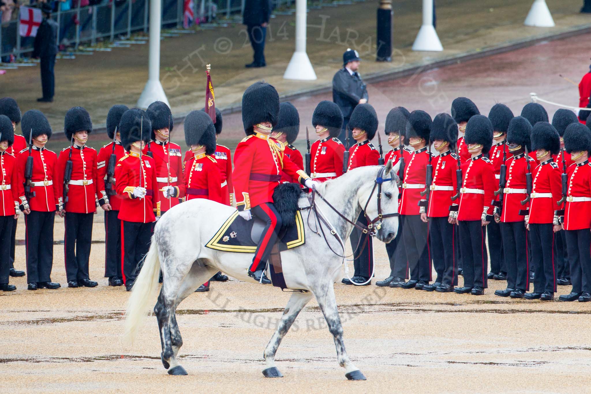 The Colonel's Review 2014.
Horse Guards Parade, Westminster,
London,

United Kingdom,
on 07 June 2014 at 11:02, image #287