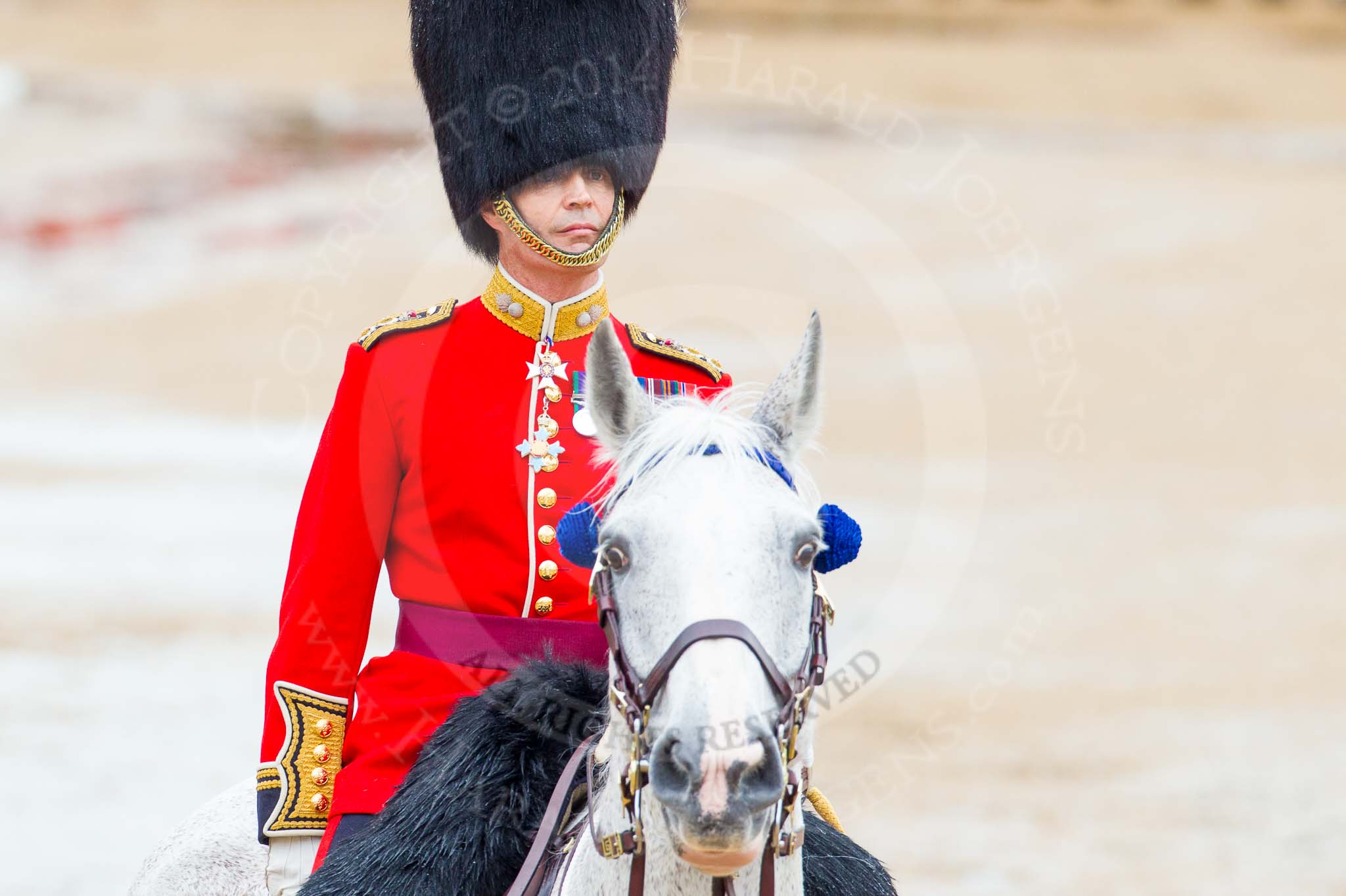 The Colonel's Review 2014.
Horse Guards Parade, Westminster,
London,

United Kingdom,
on 07 June 2014 at 11:05, image #300
