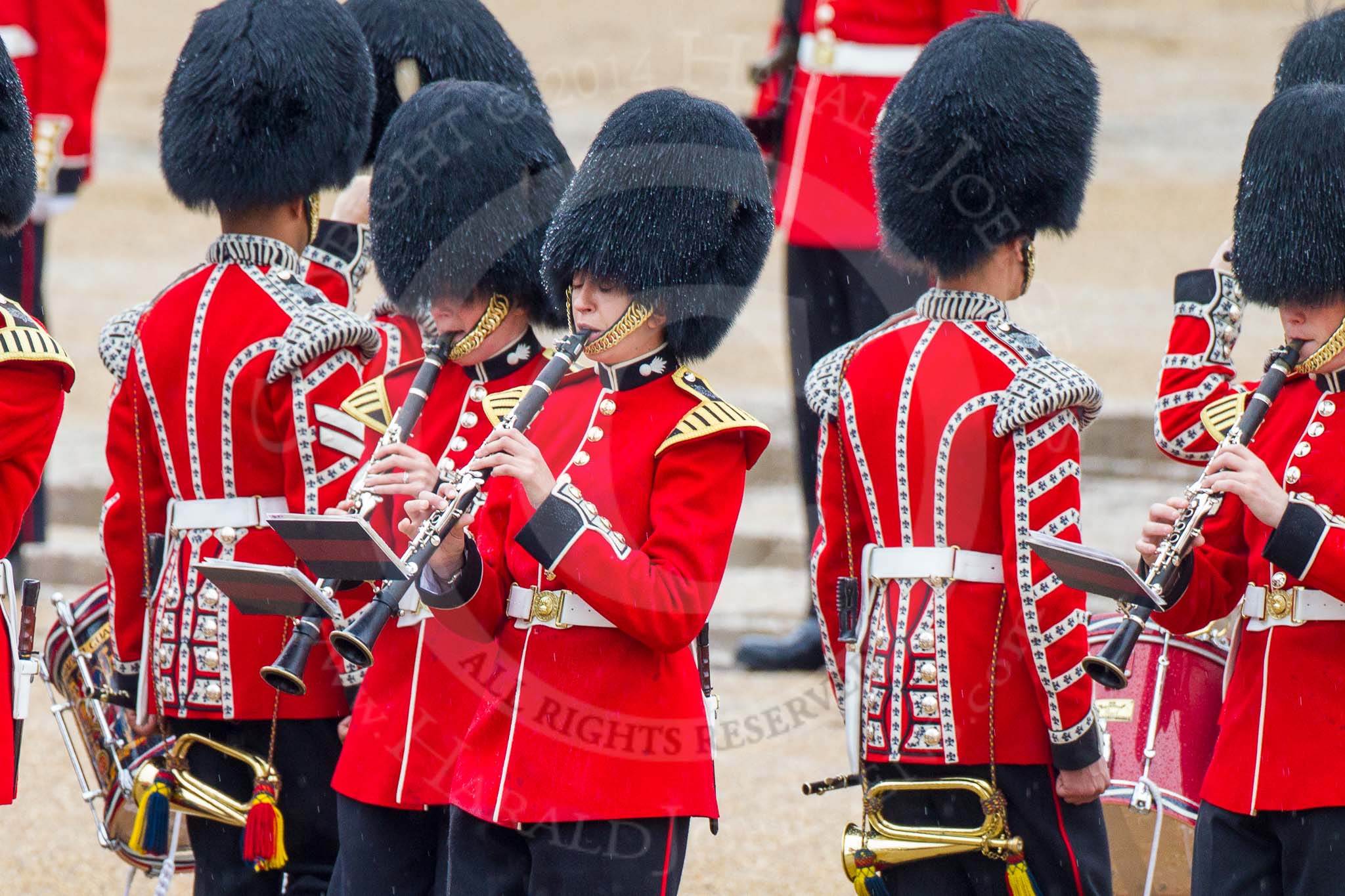 The Colonel's Review 2014.
Horse Guards Parade, Westminster,
London,

United Kingdom,
on 07 June 2014 at 11:10, image #330