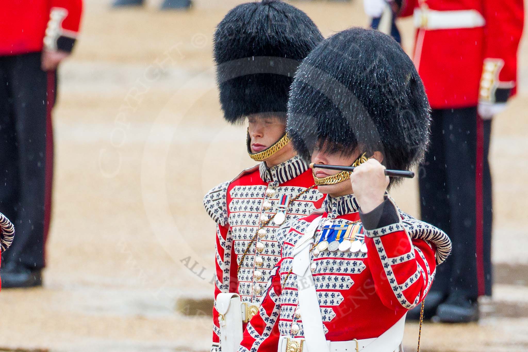 The Colonel's Review 2014.
Horse Guards Parade, Westminster,
London,

United Kingdom,
on 07 June 2014 at 11:10, image #332