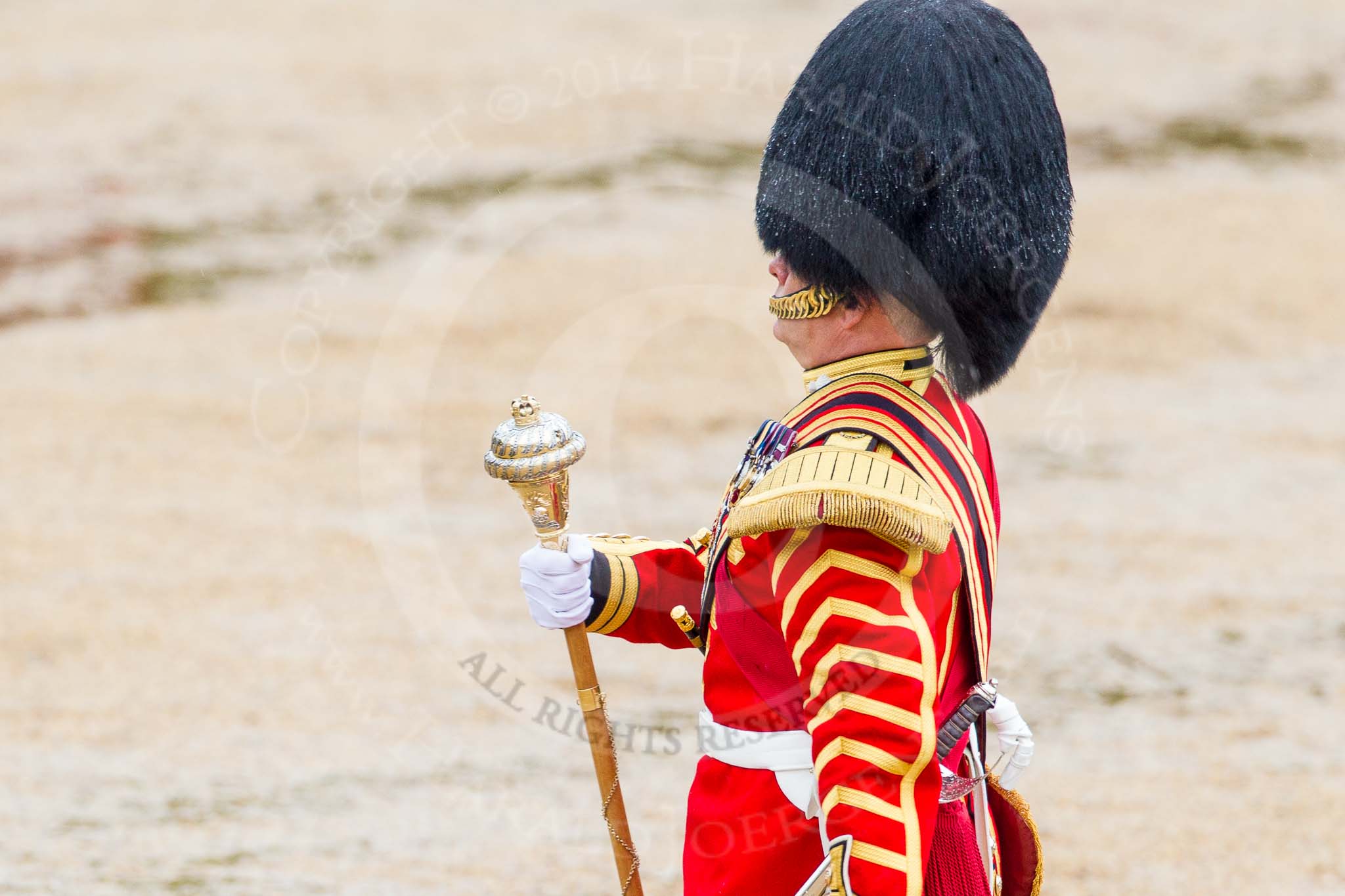 The Colonel's Review 2014.
Horse Guards Parade, Westminster,
London,

United Kingdom,
on 07 June 2014 at 11:11, image #337