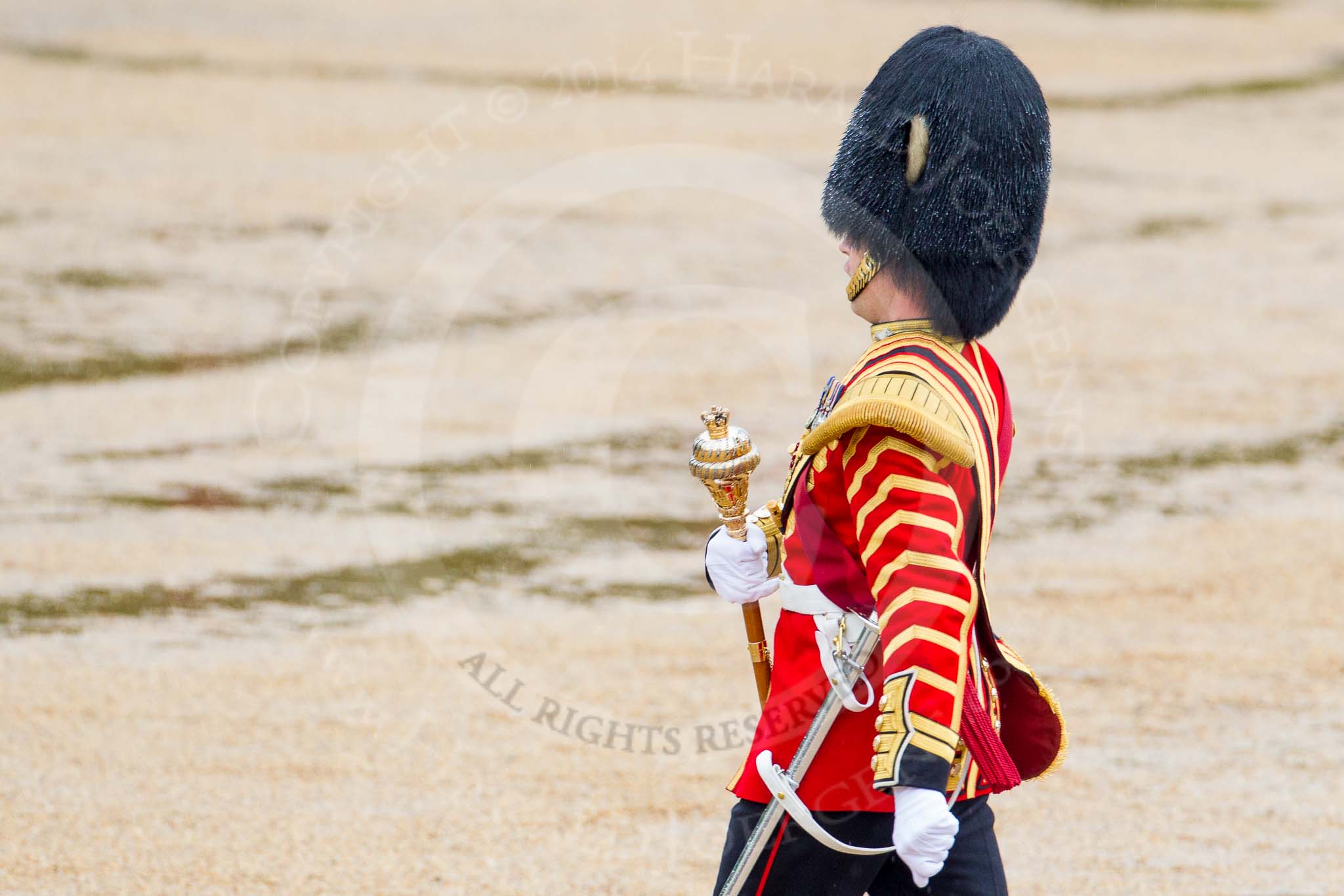 The Colonel's Review 2014.
Horse Guards Parade, Westminster,
London,

United Kingdom,
on 07 June 2014 at 11:11, image #338