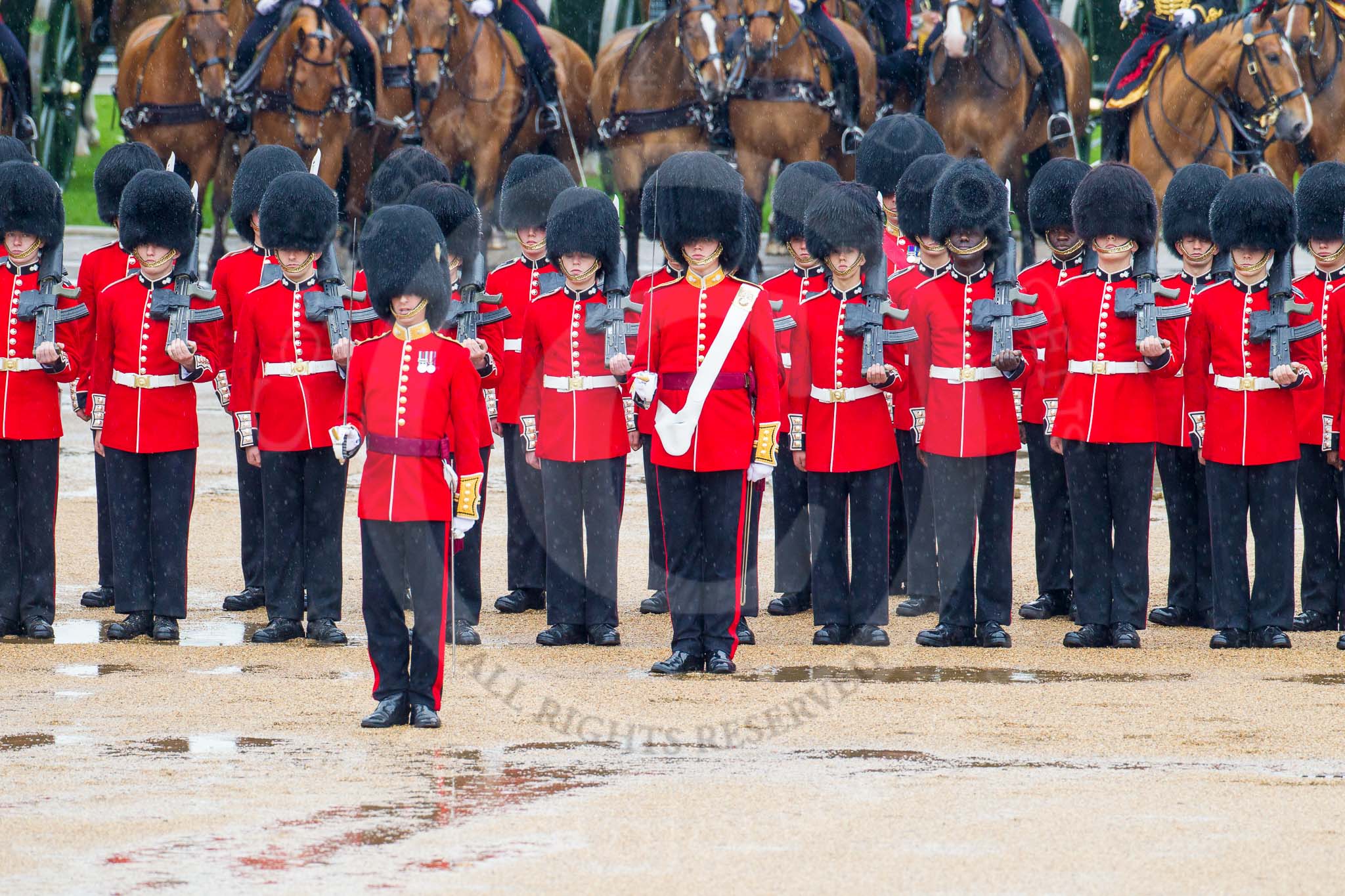 The Colonel's Review 2014.
Horse Guards Parade, Westminster,
London,

United Kingdom,
on 07 June 2014 at 11:15, image #357