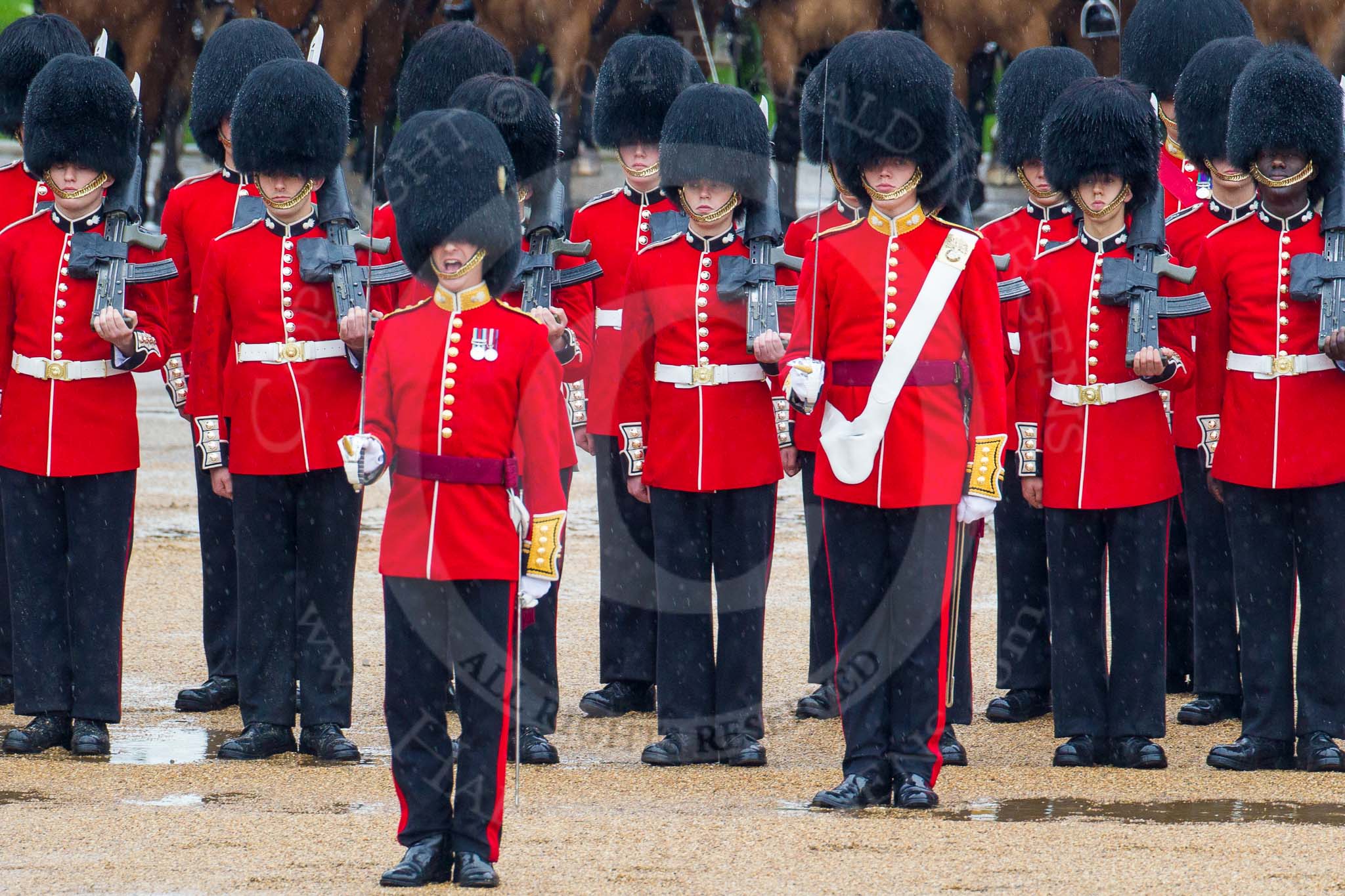 The Colonel's Review 2014.
Horse Guards Parade, Westminster,
London,

United Kingdom,
on 07 June 2014 at 11:15, image #358