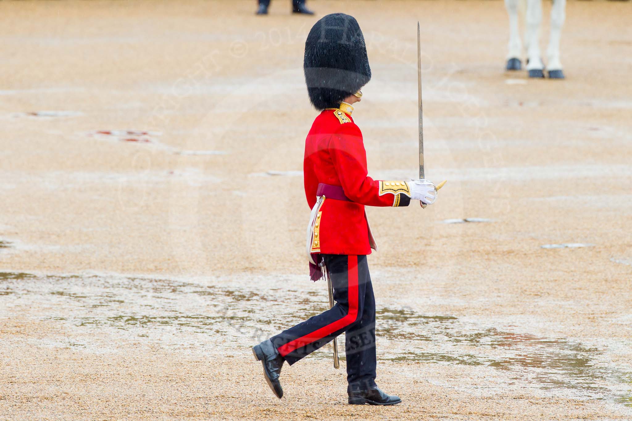 The Colonel's Review 2014.
Horse Guards Parade, Westminster,
London,

United Kingdom,
on 07 June 2014 at 11:17, image #376