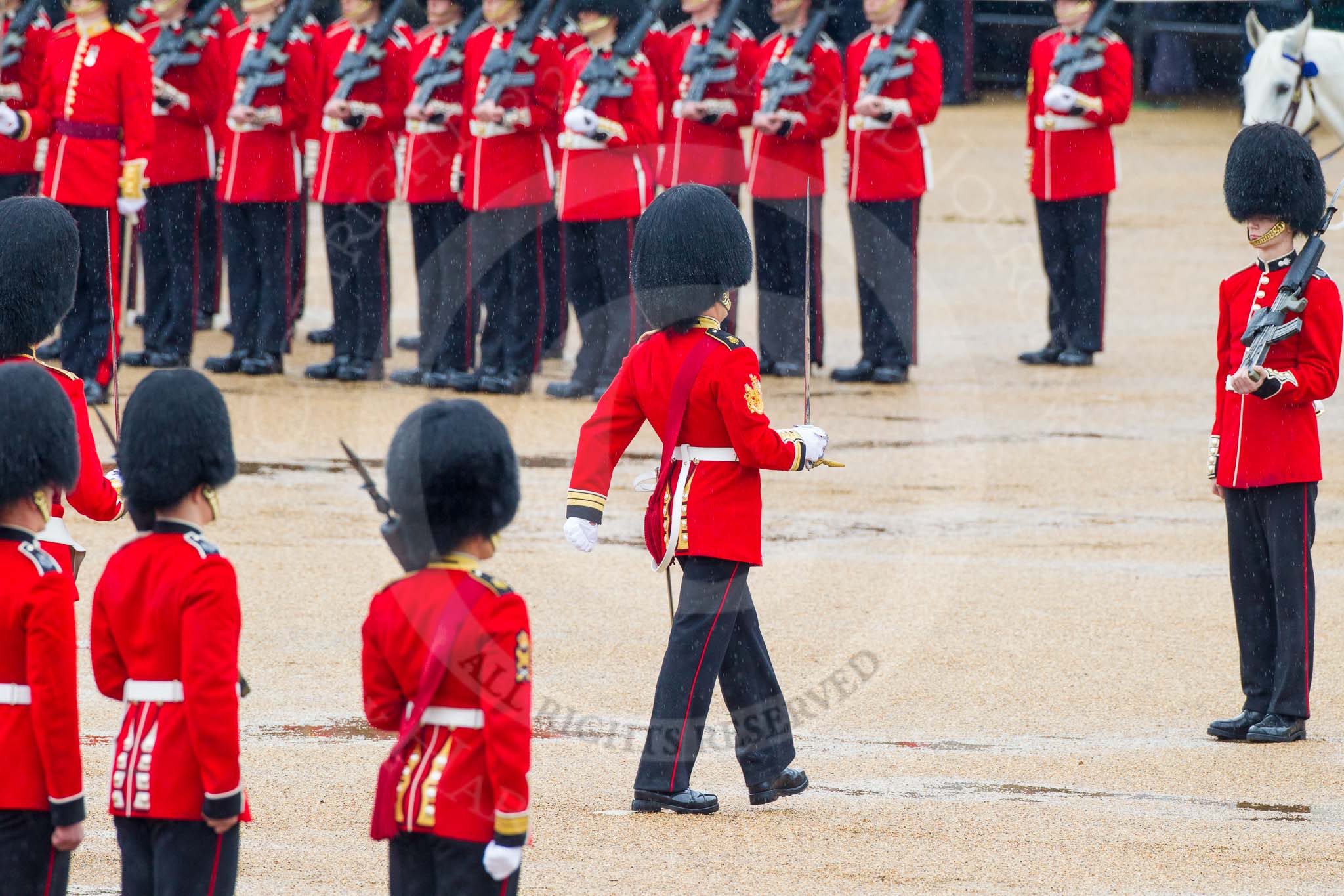 The Colonel's Review 2014.
Horse Guards Parade, Westminster,
London,

United Kingdom,
on 07 June 2014 at 11:18, image #381
