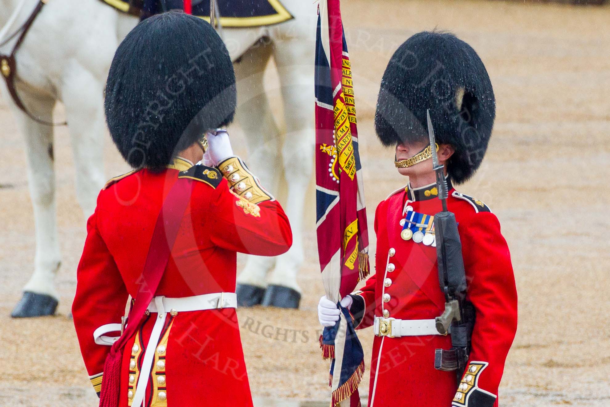 The Colonel's Review 2014.
Horse Guards Parade, Westminster,
London,

United Kingdom,
on 07 June 2014 at 11:18, image #384