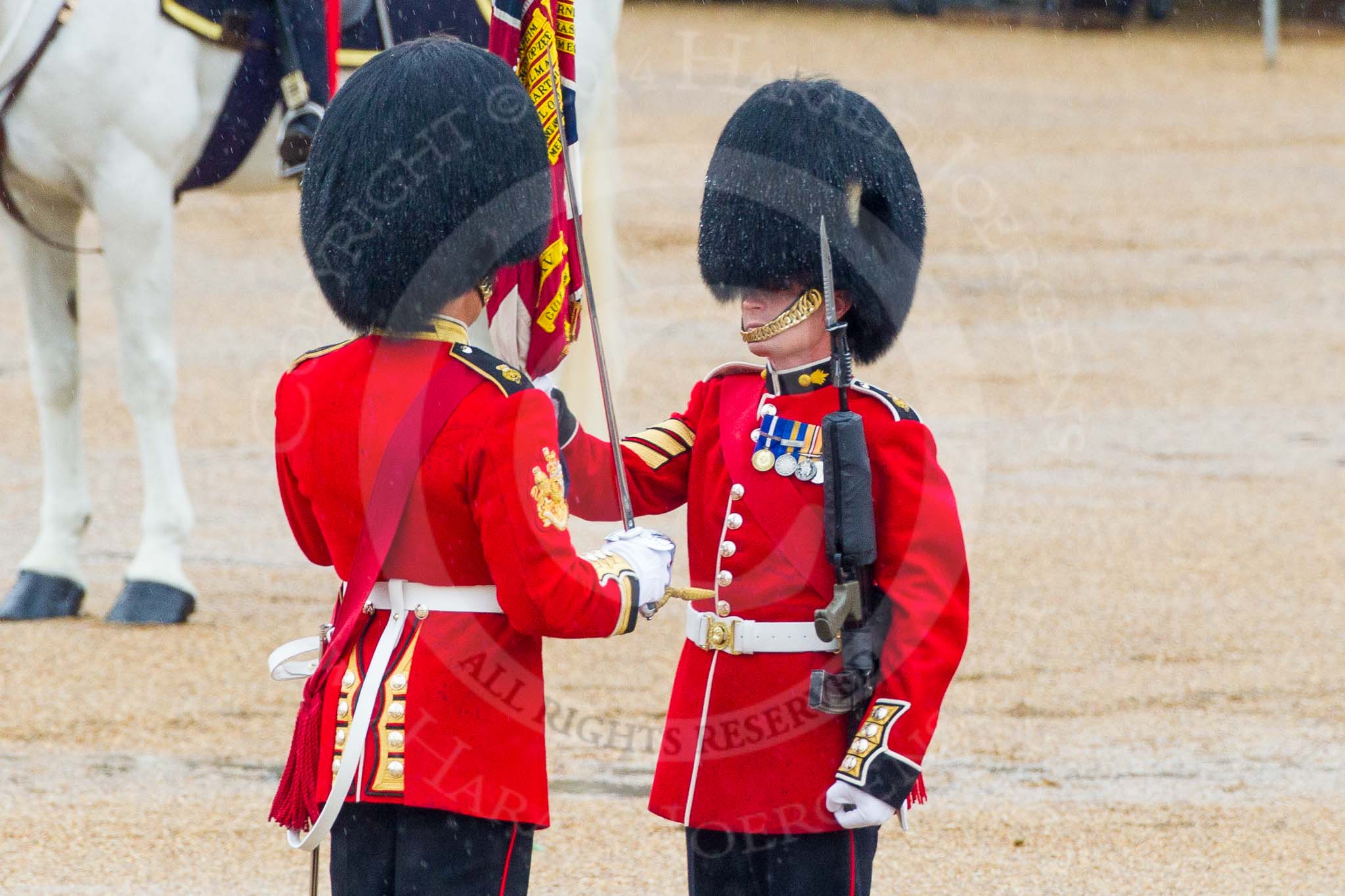 The Colonel's Review 2014.
Horse Guards Parade, Westminster,
London,

United Kingdom,
on 07 June 2014 at 11:19, image #386