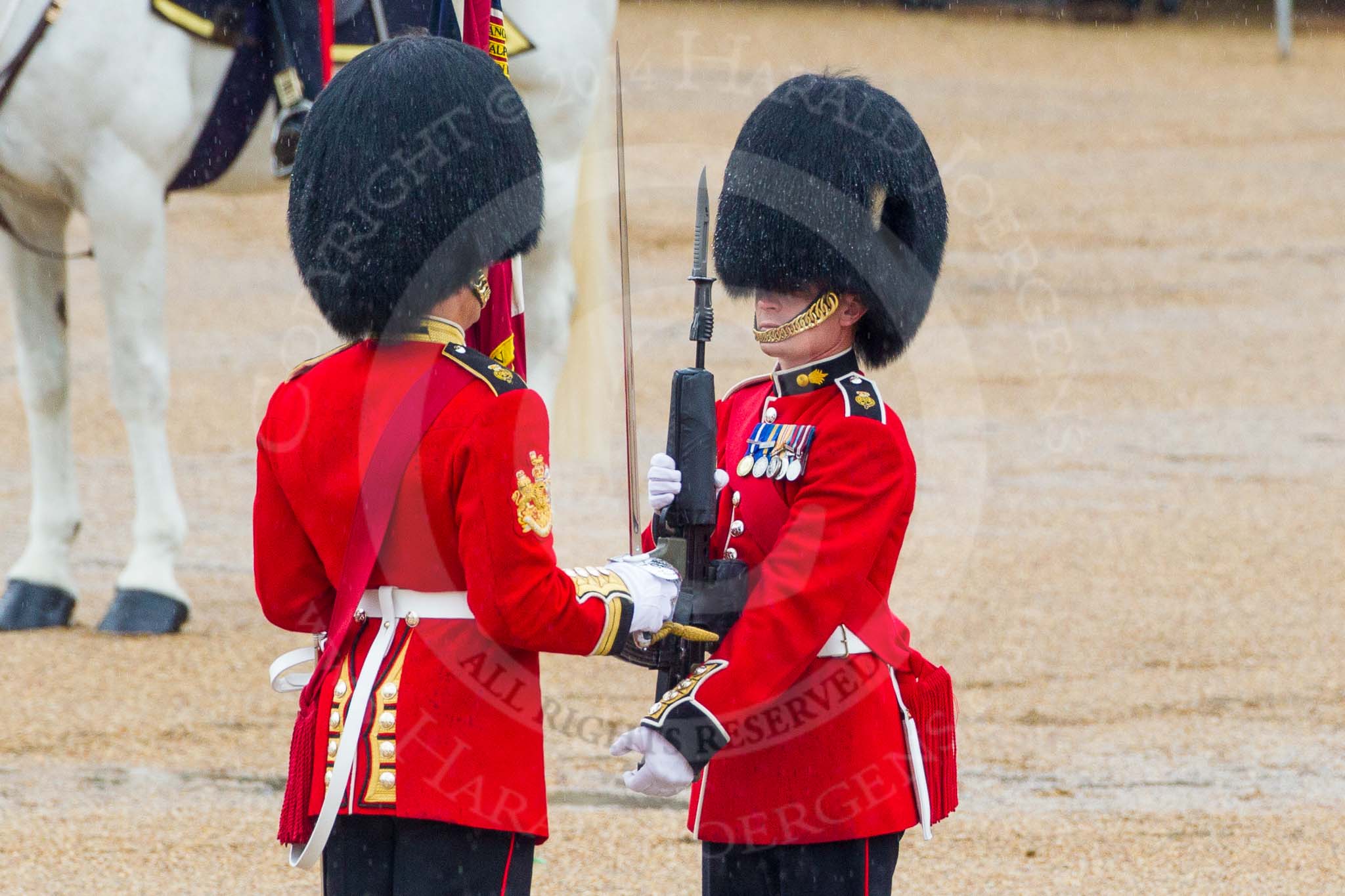 The Colonel's Review 2014.
Horse Guards Parade, Westminster,
London,

United Kingdom,
on 07 June 2014 at 11:19, image #387