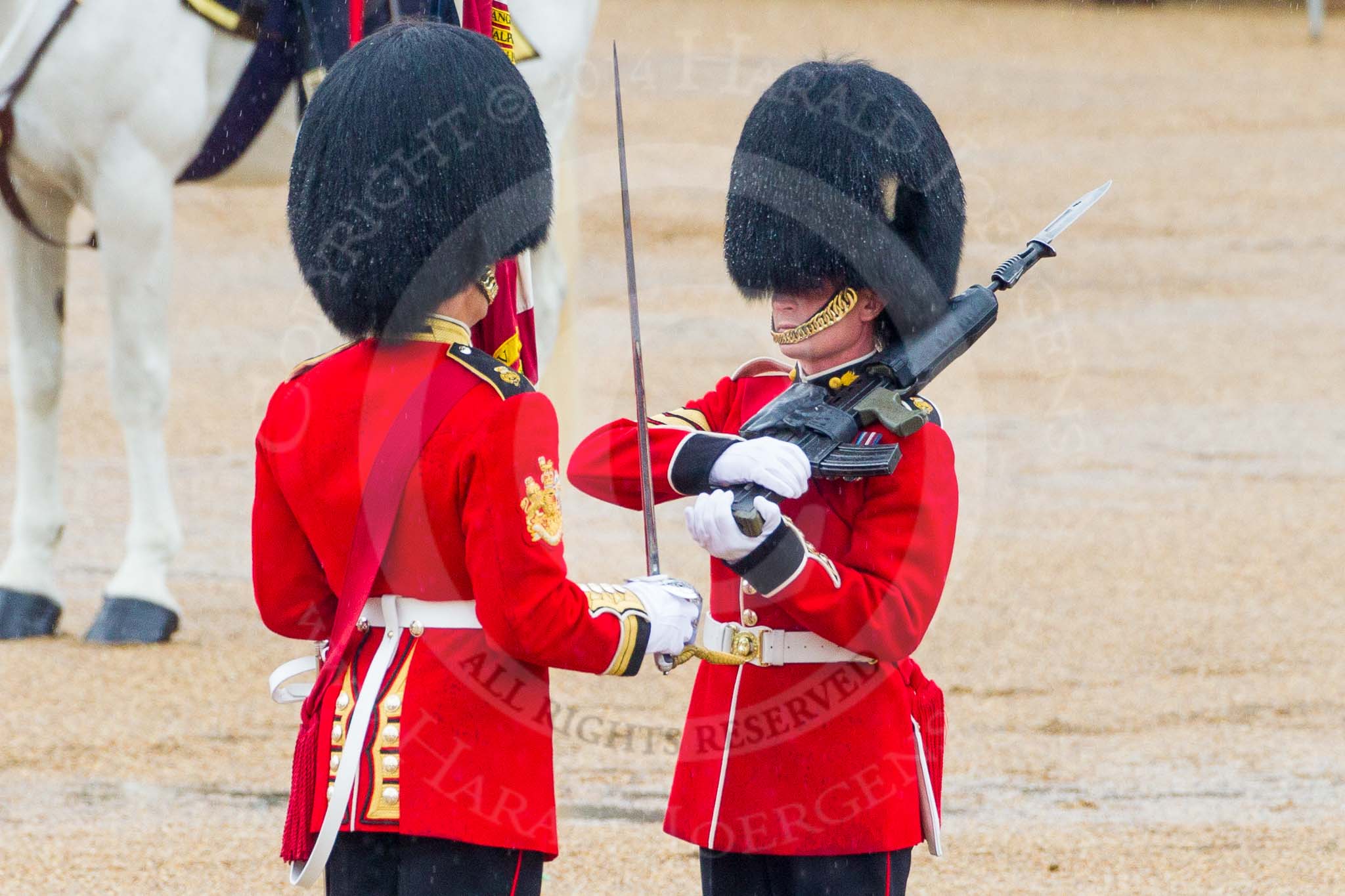 The Colonel's Review 2014.
Horse Guards Parade, Westminster,
London,

United Kingdom,
on 07 June 2014 at 11:19, image #388