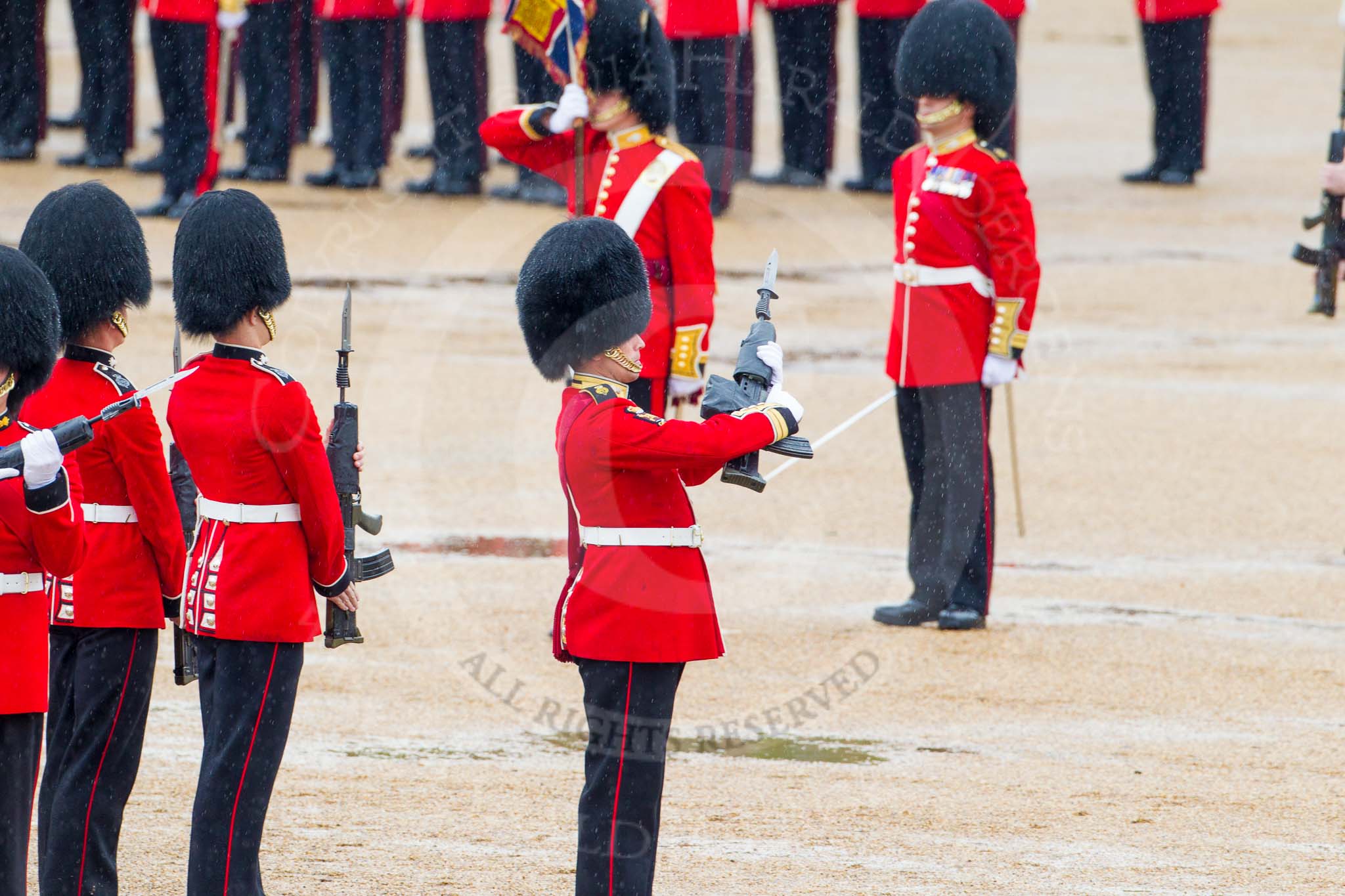 The Colonel's Review 2014.
Horse Guards Parade, Westminster,
London,

United Kingdom,
on 07 June 2014 at 11:20, image #403